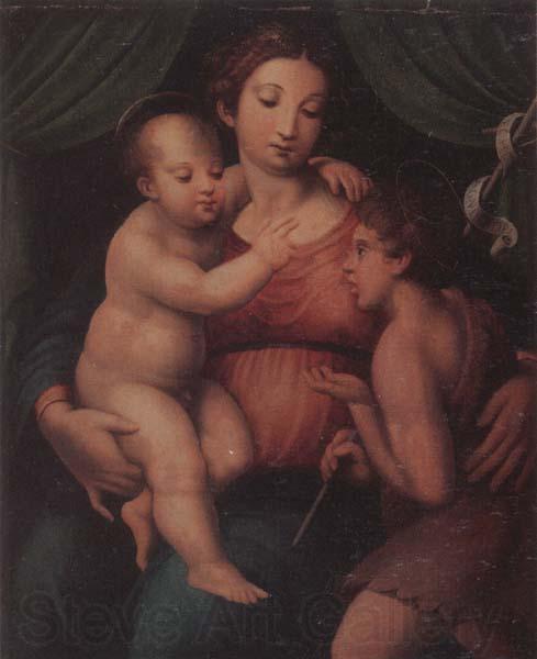 unknow artist The Madonna and child with the infant saint john the baptist Germany oil painting art